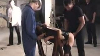 sottomessa dal branco